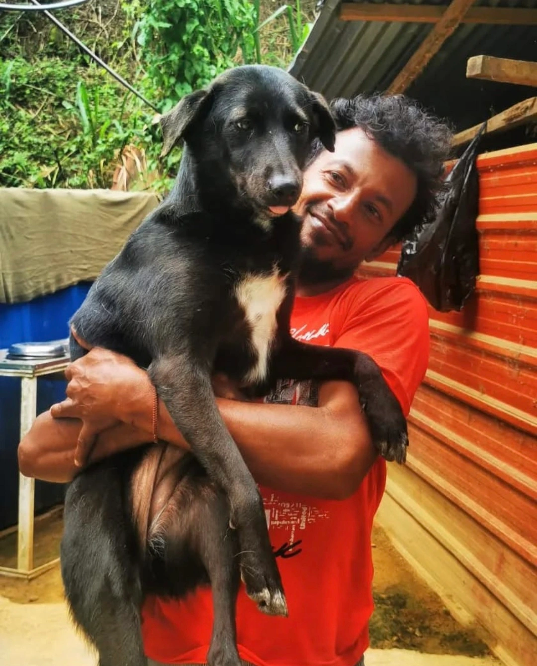 Anuradha, Team Member at Dogs of Ella, caring for rescued dogs in Ella