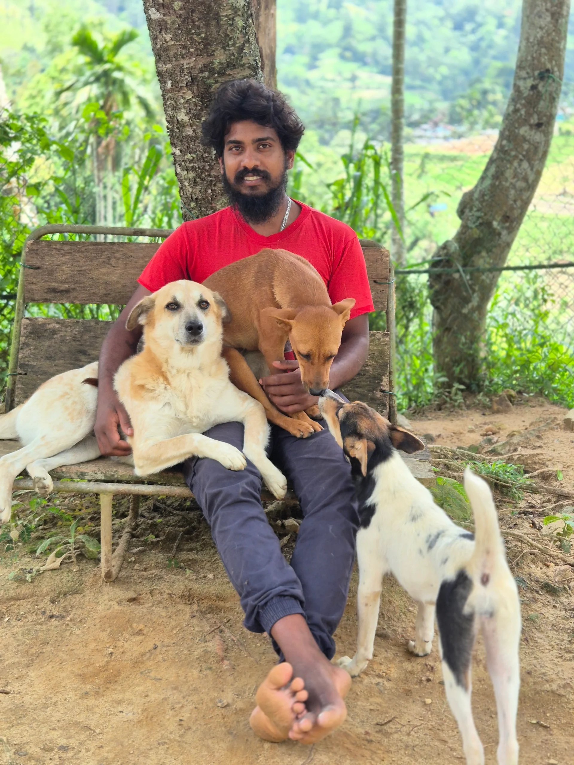 Sashi, Team Member at Dogs of Ella, dedicated to animal welfare