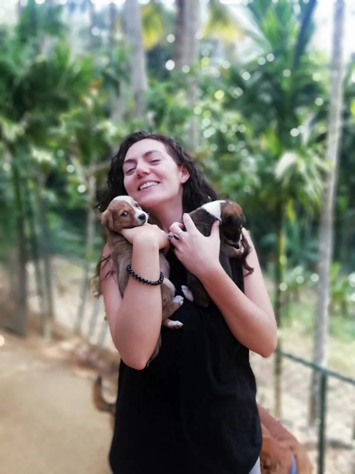 Stray dog in Ella, Sri Lanka, suffering from mange and malnutrition